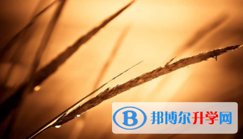 廣安2022年中考網絡登錄