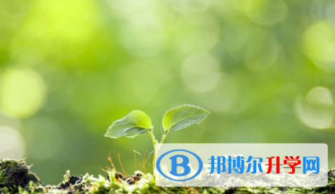 廣安2022年中考網絡服務平臺