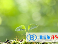 廣安2022年中考網(wǎng)絡(luò)服務(wù)平臺