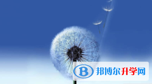 廣安2022年中考網絡服務應用平臺