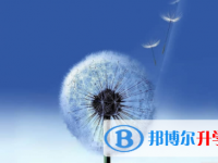 廣安2022年中考網(wǎng)絡(luò)服務(wù)應(yīng)用平臺