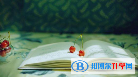 廣安2022年中考網(wǎng)絡應用服務平臺