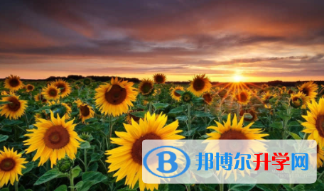 廣安2022年中考網上報名