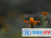 廣安2022年中考網(wǎng)上報名模擬