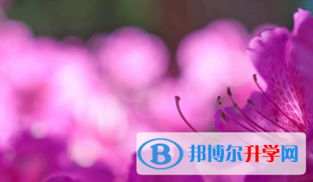 廣安2022年中考網上報名系統