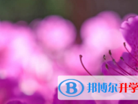 廣安2022年中考網上報名系統