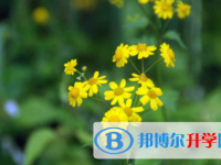廣安2022年中考網(wǎng)上模擬報名