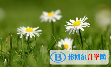 廣安2022年中考網上學校