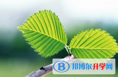 廣安2022年中考線預(yù)測