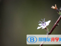 廣安2022年中考信息服務(wù)平臺