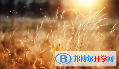 廣安2022年中考藝體時(shí)間