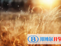 廣安2022年中考藝體時間