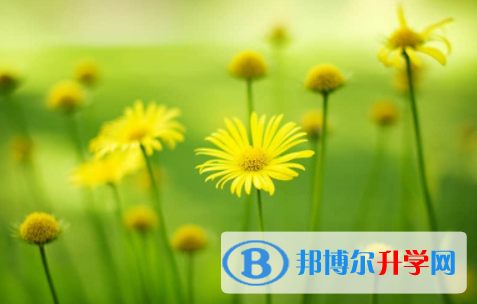 廣安2022年中考怎樣調劑
