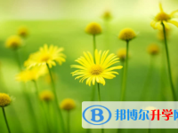 廣安2022年中考怎樣調劑