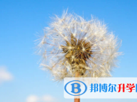 廣安2022年中考招生網絡應用服務平臺