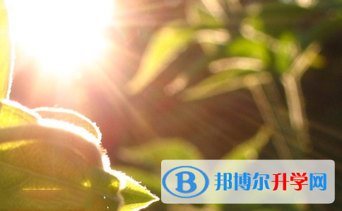 廣安2022年中考重點線錄取