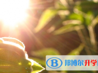 廣安2022年中考重點(diǎn)線錄取