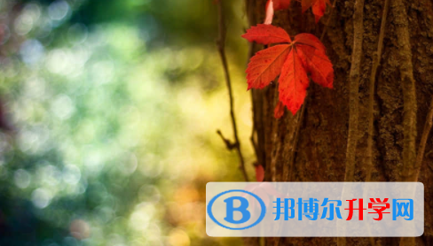 廣安2022年中考報考學校名單