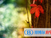 廣安2022年中考報考學(xué)校名單