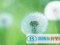 廣安2022年中考孩子的營(yíng)養(yǎng)餐
