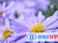 廣安2022年中考后計(jì)劃