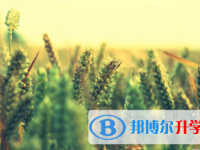 廣安2022年中考技巧和注意事項(xiàng)
