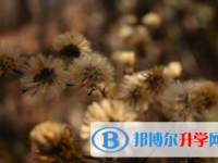 廣安2022年中考生活注意事項(xiàng)