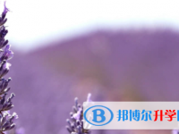 廣安2022年中考具體時(shí)間
