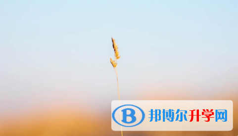 廣安2022年中考應(yīng)對(duì)策略