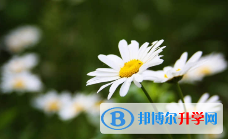 廣安2022年中考重點復習