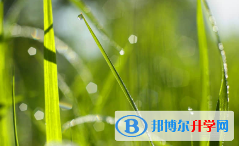 廣安2022年中考招生學(xué)校