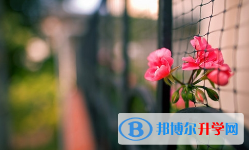 廣安2022年孩子中考家長怎么做