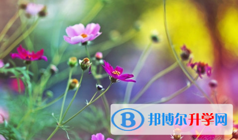 廣安2022年中考報(bào)名是哪個(gè)網(wǎng)站