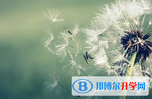 廣安2022年中考報名網站登錄