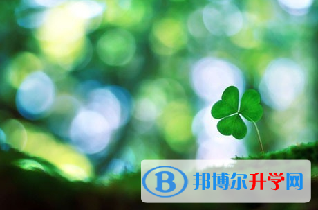 廣安2022年中考報名網站是什么