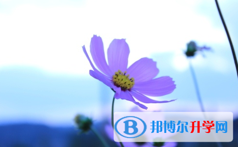廣安2022年中考報名網址