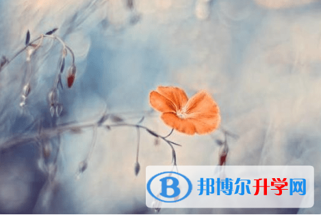 廣安2022年中考怎么填志愿才可以上到好的學校