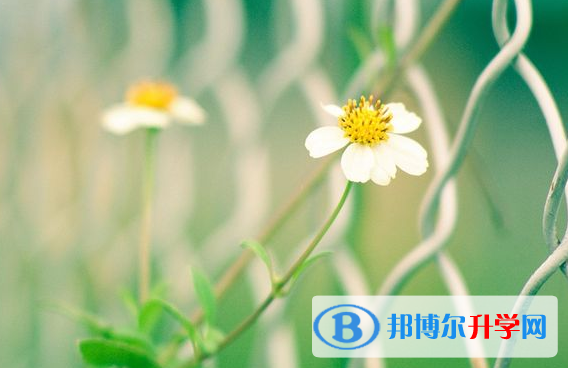 達(dá)州2022年中考報(bào)名查詢