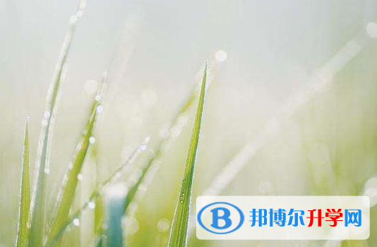 達州2022年中考查詢成績網址