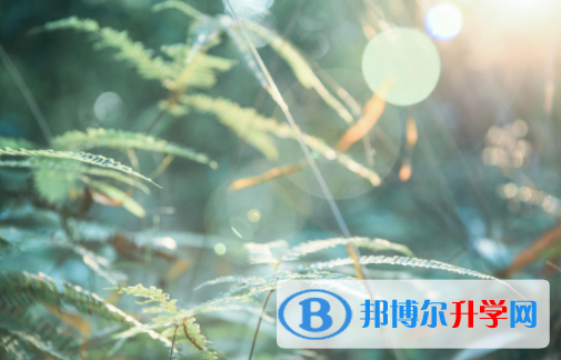 達(dá)州2022年中考查詢系統(tǒng)