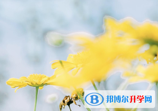 達州2022年中考成績查詢方法