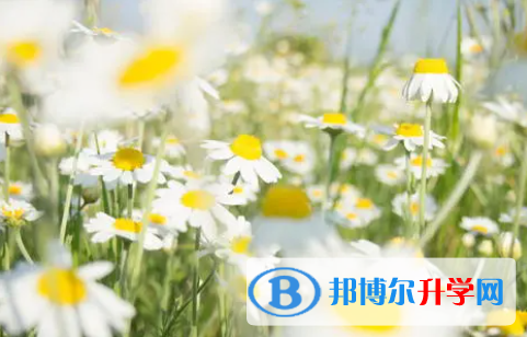 達(dá)州2022年中考成績(jī)查詢?nèi)肟? width=
