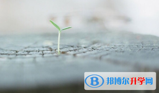 達(dá)州2022年中考成績查詢系