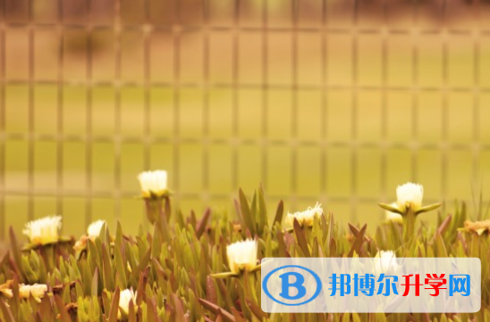 達州2022年中考成績差怎么辦