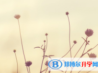 達(dá)州2022年中考成績(jī)沒(méi)考好怎么給家長(zhǎng)說(shuō)