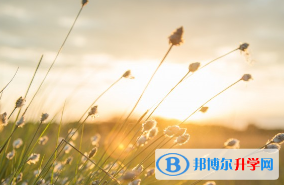 達州2022年中考成績什么時候出來