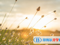 達(dá)州2022年中考成績(jī)什么時(shí)候出來(lái)