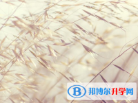 達(dá)州2022年中考成績(jī)什么時(shí)間知道