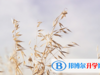 達(dá)州2022年中考成績(jī)有沒(méi)D