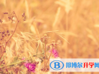 達(dá)州2022年中考成績(jī)?cè)谀睦锊樵? /><b>達(dá)州2022年中考成績(jī)?cè)谀睦锊樵?/b><span>2021-12-13 10:07</span><p>每個(gè)地區(qū)的中考試題不一樣，中考成績(jī)也不一樣，所以成績(jī)劃分標(biāo)準(zhǔn)也不一樣。同學(xué)們除了中考后要關(guān)注如何查詢到自己的考試分?jǐn)?shù)，而</p></a></h3></li>
<li><h3><a href=